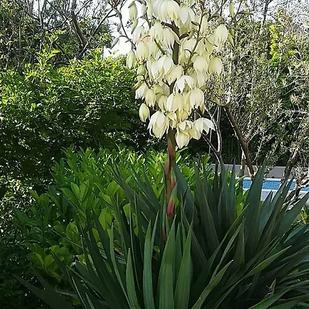 4us With Pool 빌라