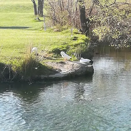 Villa 4us With Pool *