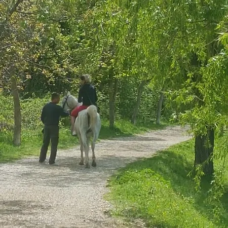 ヴィラ 4us With Pool *